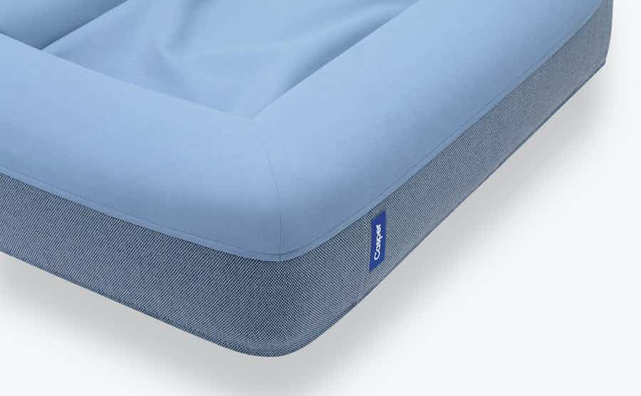 Dog bed in blue